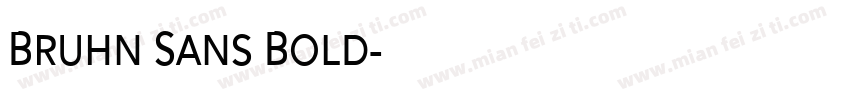 Bruhn Sans Bold字体转换